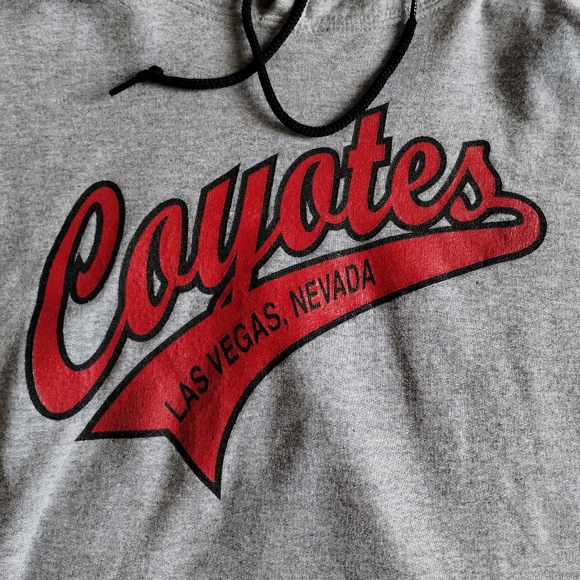 MEDIUM College Southern Nevada Coyotes Baseball Hoodie Vintage MEDIUM - Picture 2 of 8